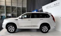 新款h9最新爆料拉花