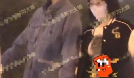 刘大锤爆料家暴男视频